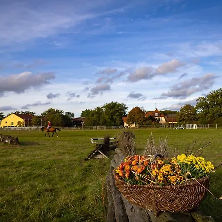 Lejlighed Fewo Mit Pferdeboxen, Paddock Und Weide In Der Lueneburger Heide