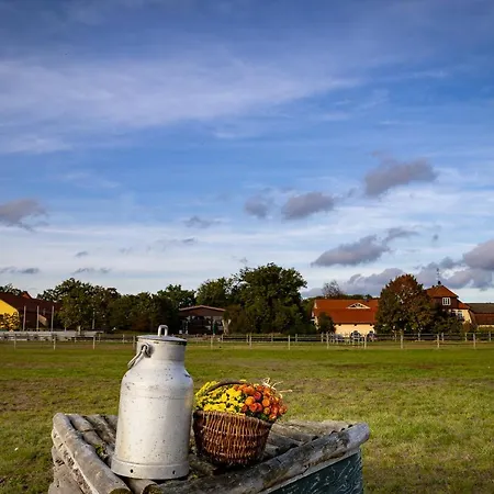 Fewo Mit Pferdeboxen, Paddock Und Weide In Der Lueneburger Heide