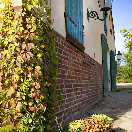 Fewo Mit Pferdeboxen, Paddock Und Weide In Der Lueneburger Heide Apartment *