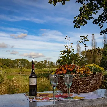 Lejlighed Fewo Mit Pferdeboxen, Paddock Und Weide In Der Lueneburger Heide