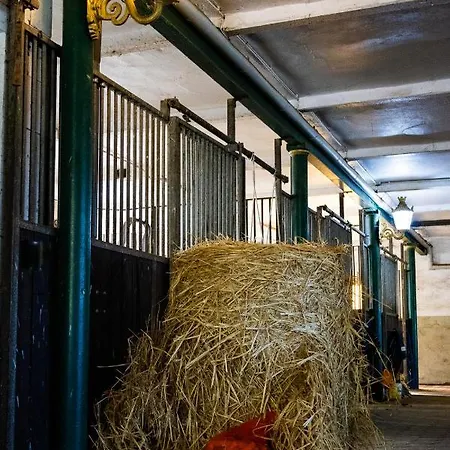 Fewo Mit Pferdeboxen, Paddock Und Weide In Der Lueneburger Heide Lejlighed Vierhofen