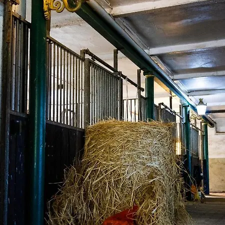 Fewo Mit Pferdeboxen, Paddock Und Weide In Der Lueneburger Heide Apartment Vierhofen