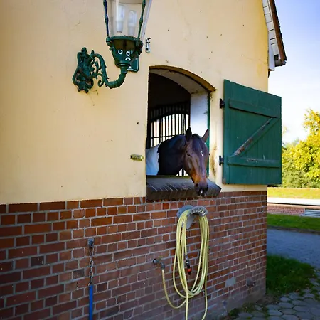 Lejlighed Fewo Mit Pferdeboxen, Paddock Und Weide In Der Lueneburger Heide Vierhofen
