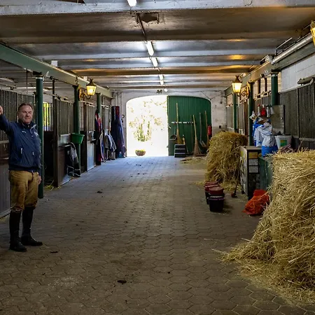 Fewo Mit Pferdeboxen, Paddock Und Weide In Der Lueneburger Heide Lejlighed *